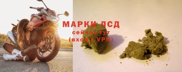 сатива Алзамай
