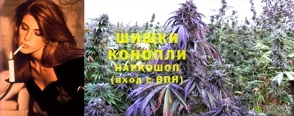 сатива Алзамай
