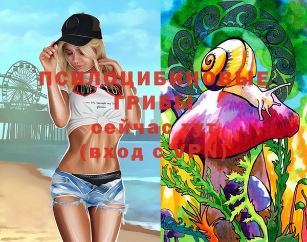 стаф Алексеевка