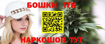 гидропоника Камышлов