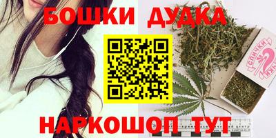 гидропоника Камышлов